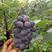 京亚葡萄0.8~1.5斤5%以下