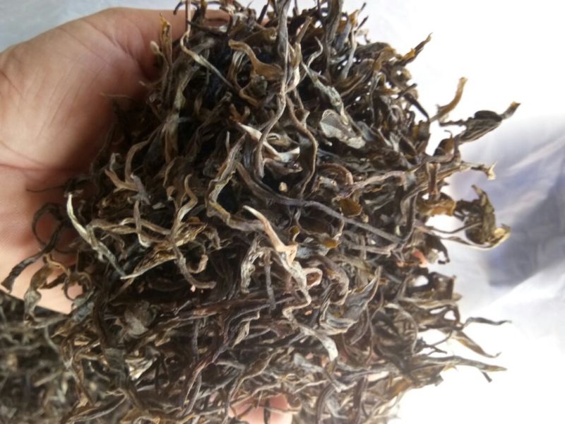 古树普洱茶老树普洱生态茶，春茶