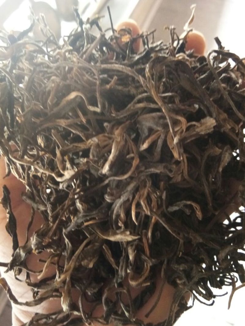 古树普洱茶老树普洱生态茶，春茶