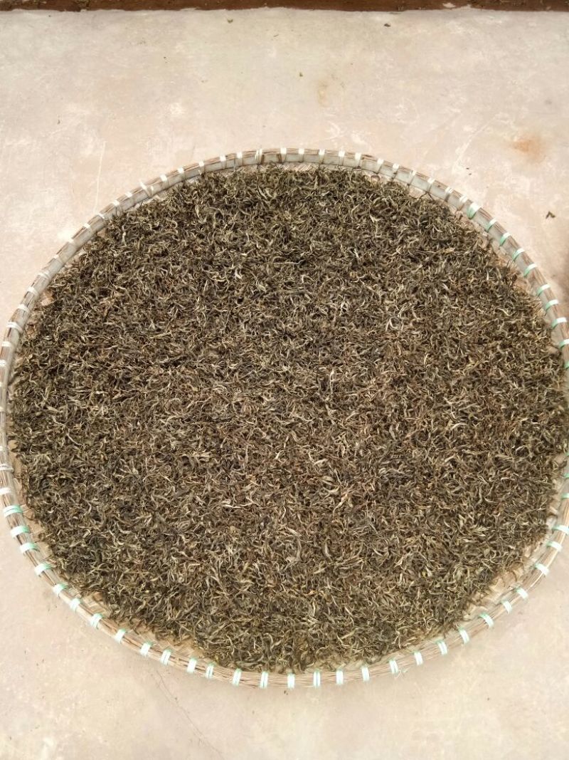 古树普洱茶老树普洱生态茶，春茶