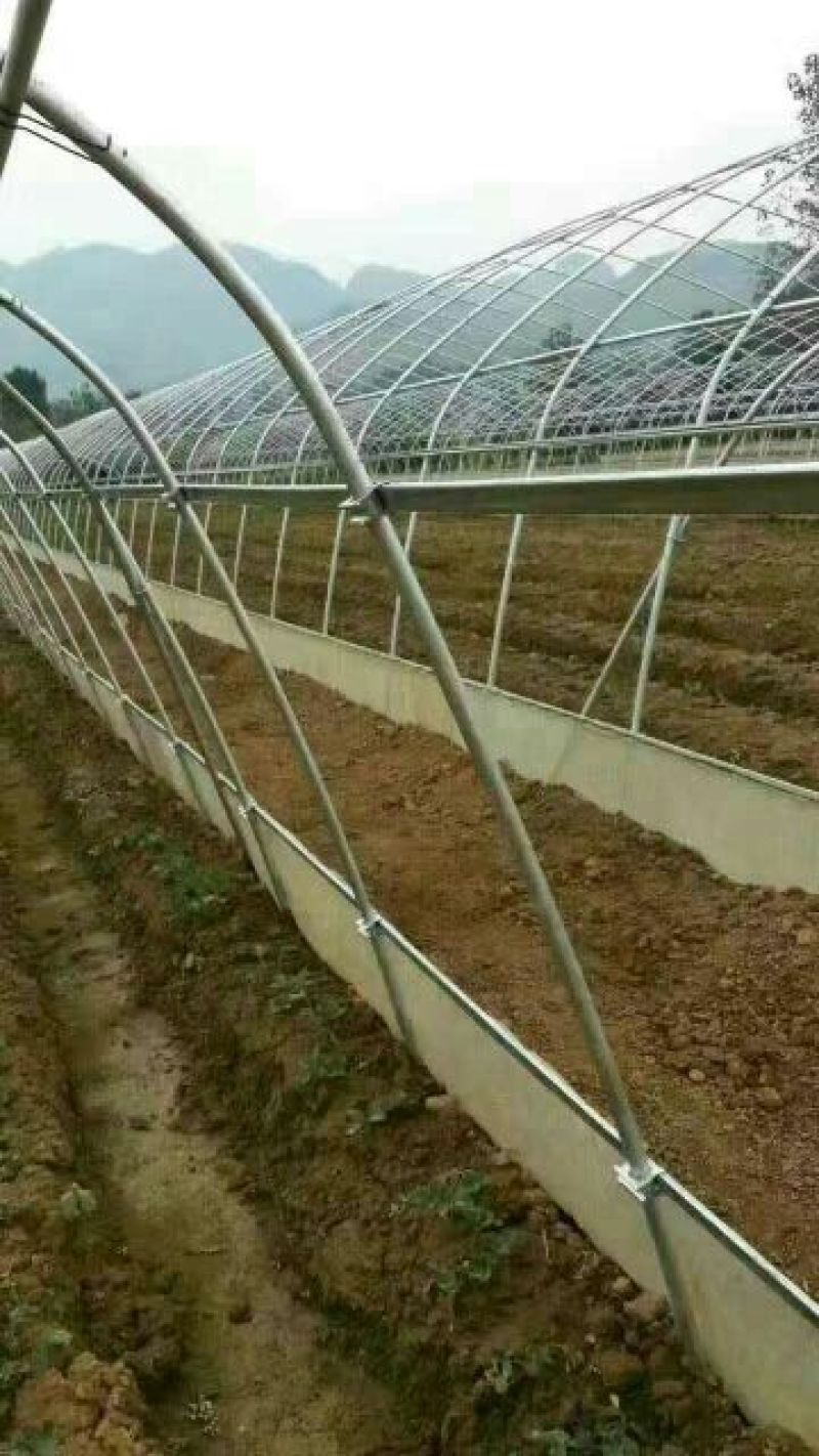 无支柱大棚骨架温室大棚骨架春秋冷棚大棚骨架
