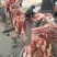 驴肉鲜货