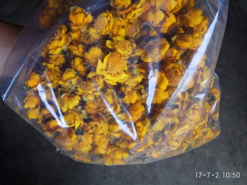 金花茶叶一级
