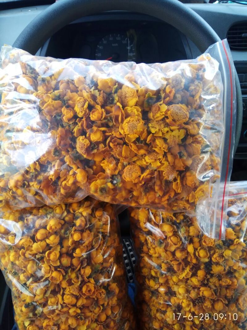 金花茶叶一级