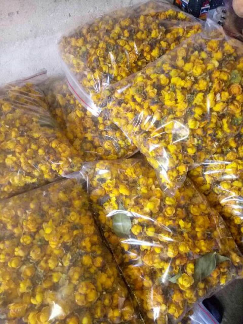 金花茶叶一级