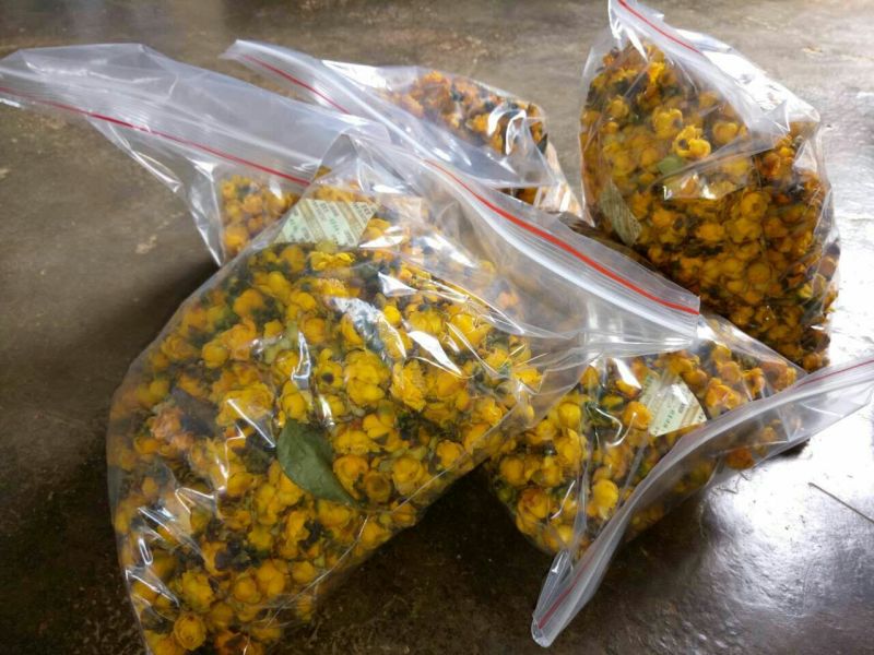 金花茶叶一级