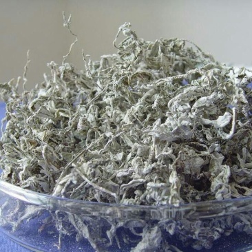 藤茶特级