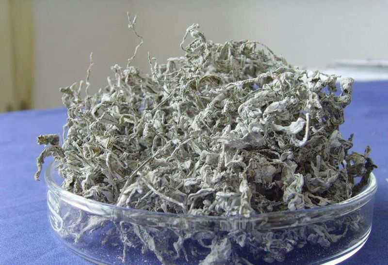 藤茶特级