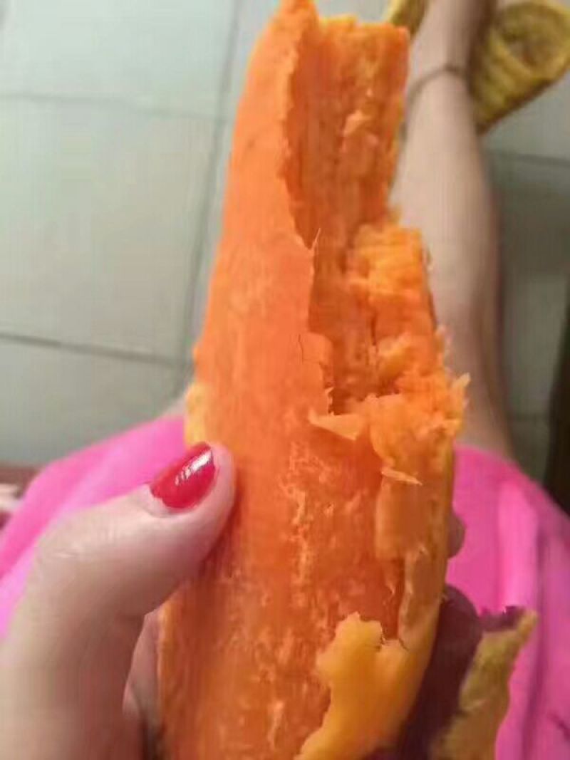 红薯六鳌地瓜六鳌红心地瓜