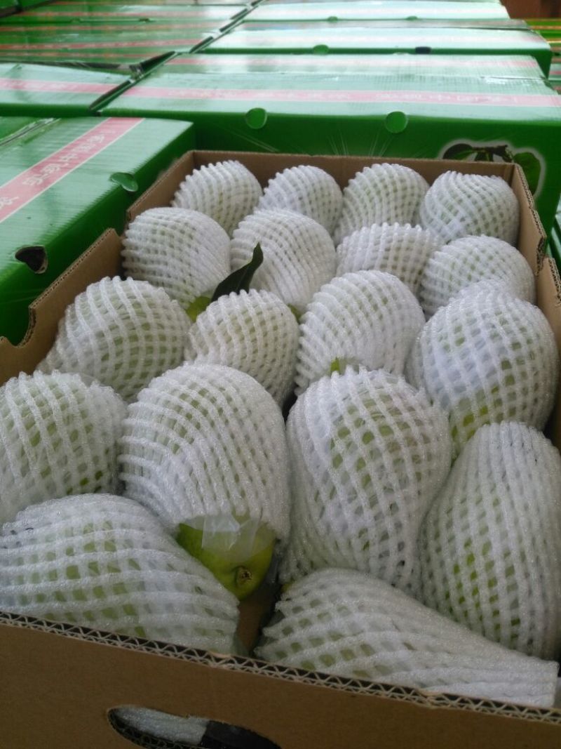 巴梨100~150g筐装
