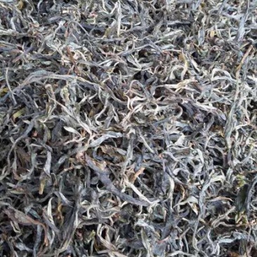 普洱茶特级