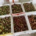 百香果40~50g紫果
