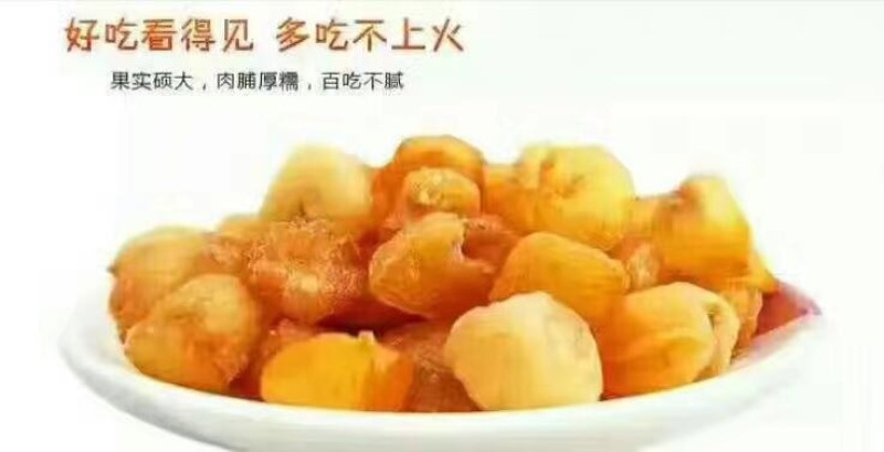 大新石硖桂圆肉广东高州桂圆肉广西博白桂圆肉产地