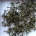 普洱绿茶一级