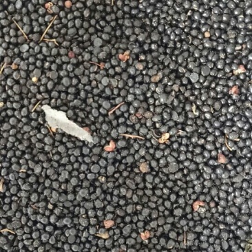 花椒籽包装