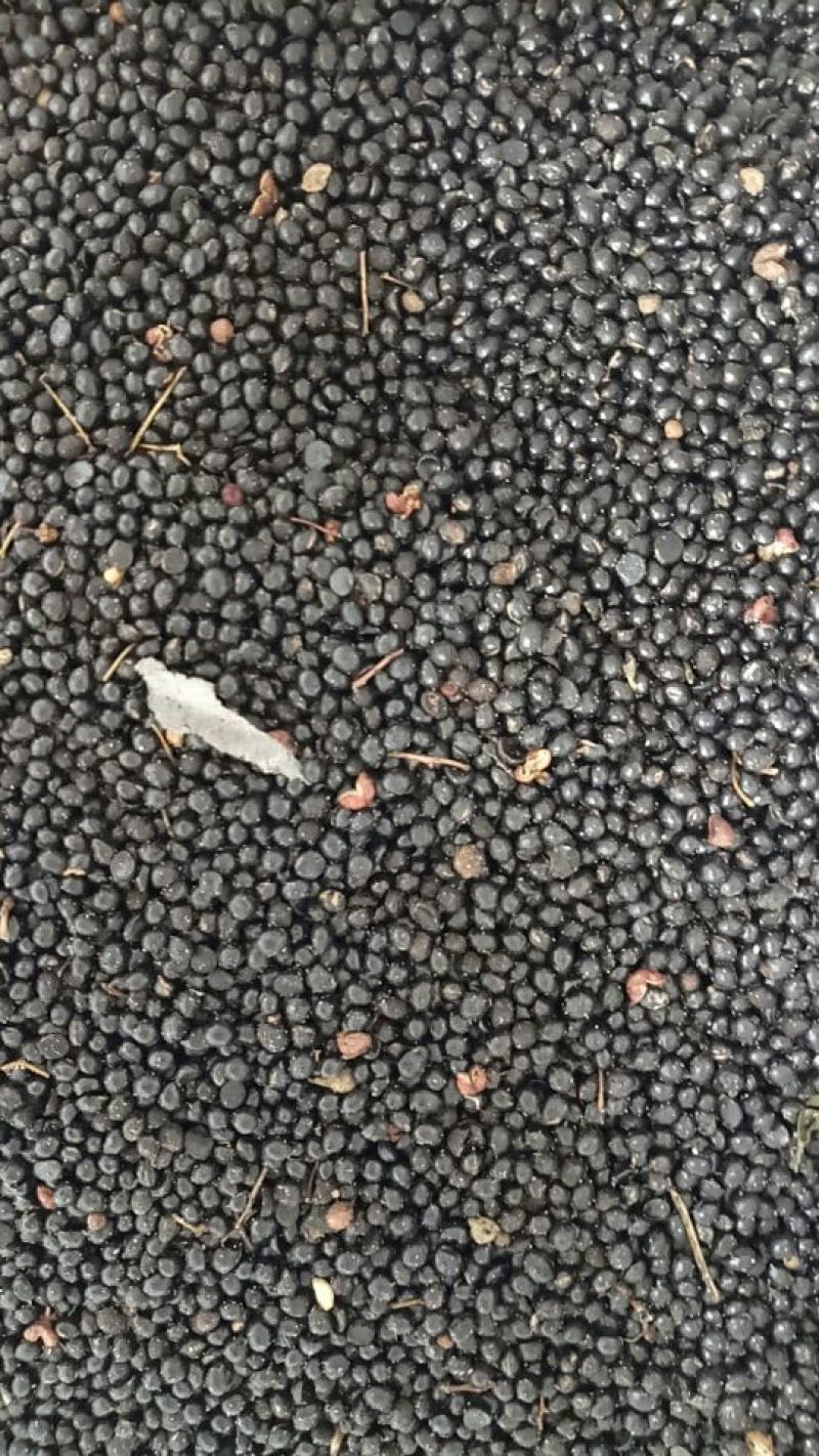 花椒籽包装