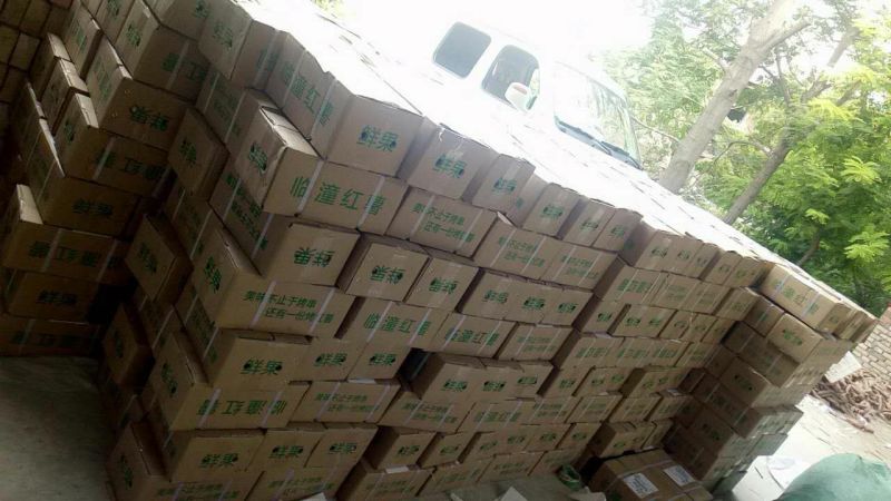 陕西秦薯四号5号板栗红薯粉糯香甜干面无丝