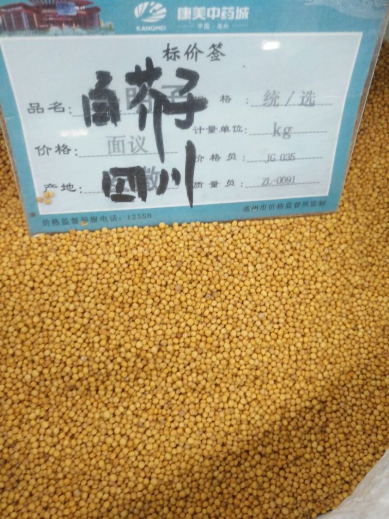 白芥子四川1公斤起批无硫无添加不包邮正品