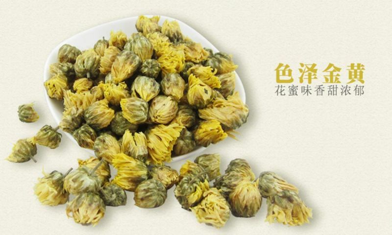 菊花茶特级