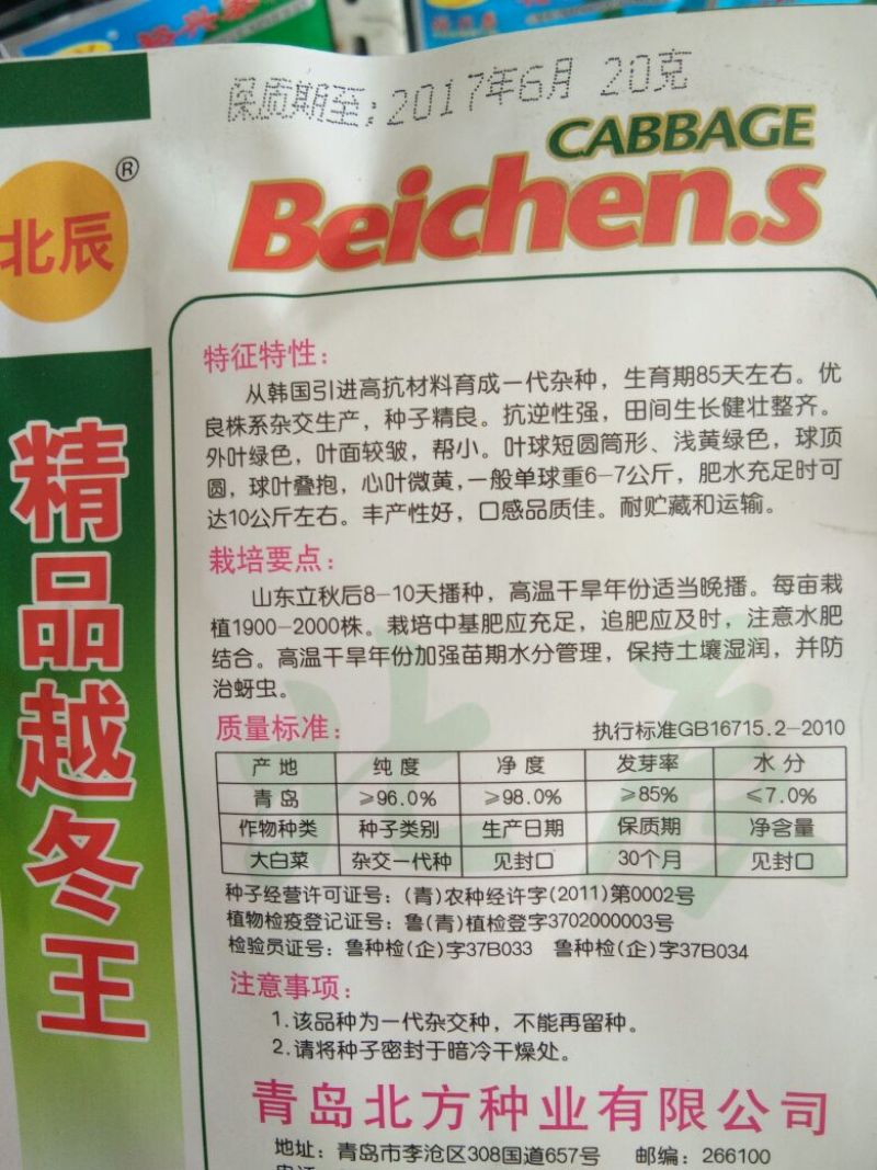 大白菜种子