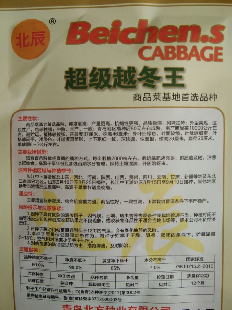 大白菜种子