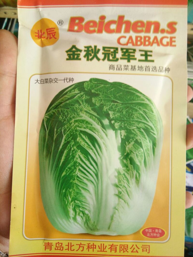 大白菜种子