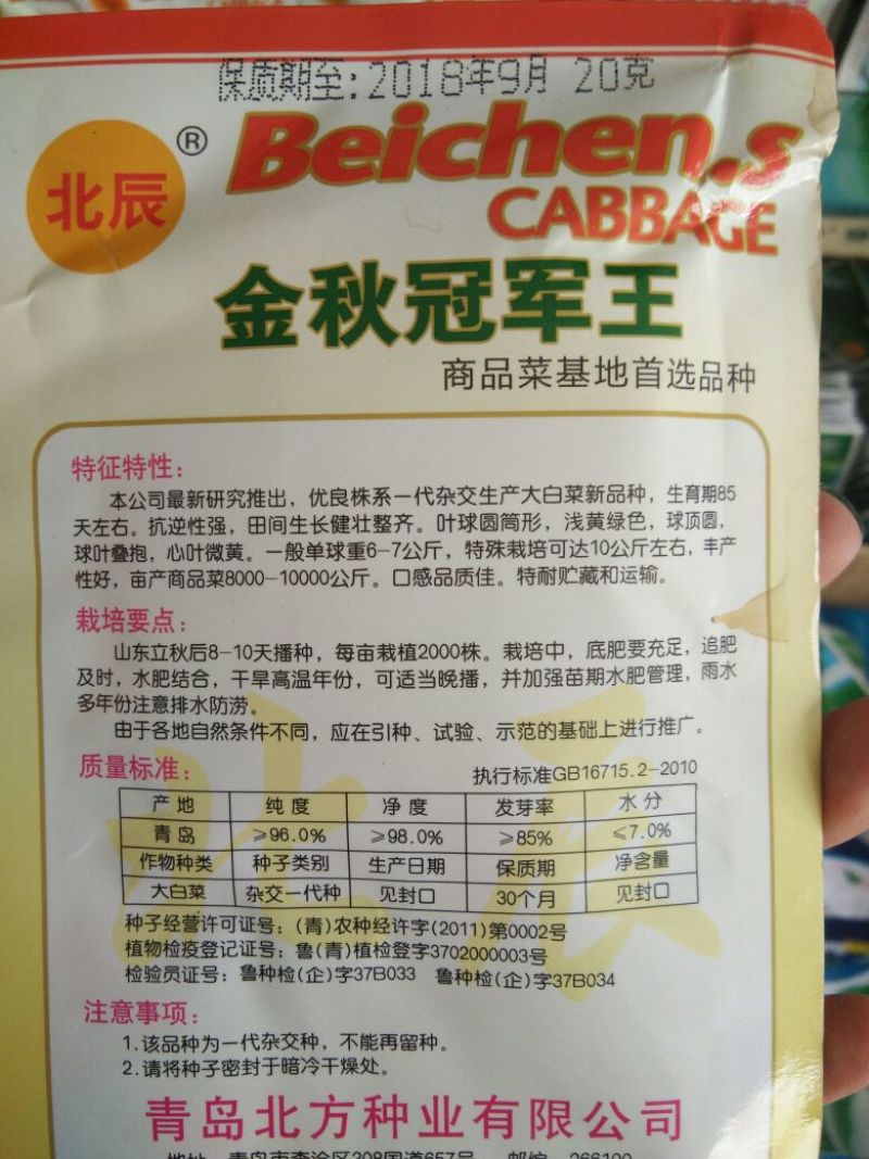 大白菜种子