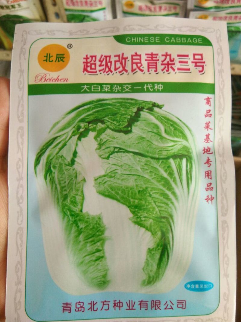 大白菜种子