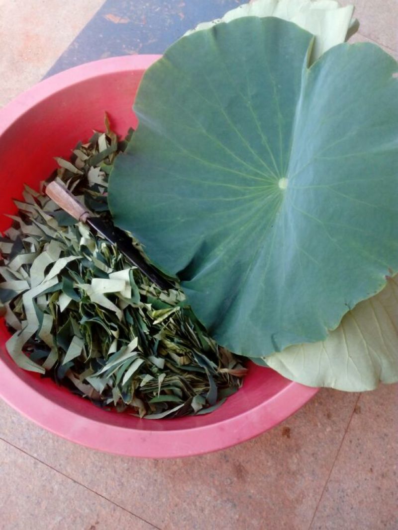 荷叶茶一级