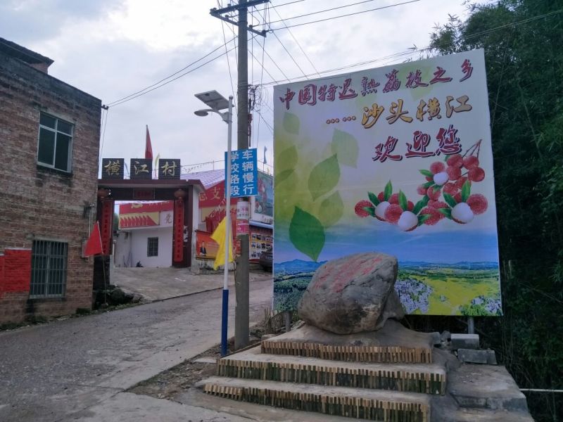 精品迟熟荔枝一件代发全国冰鲜发货当日现摘基地直供