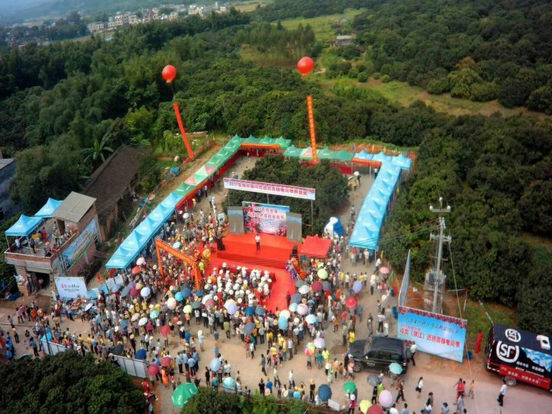 精品迟熟荔枝一件代发全国冰鲜发货当日现摘基地直供