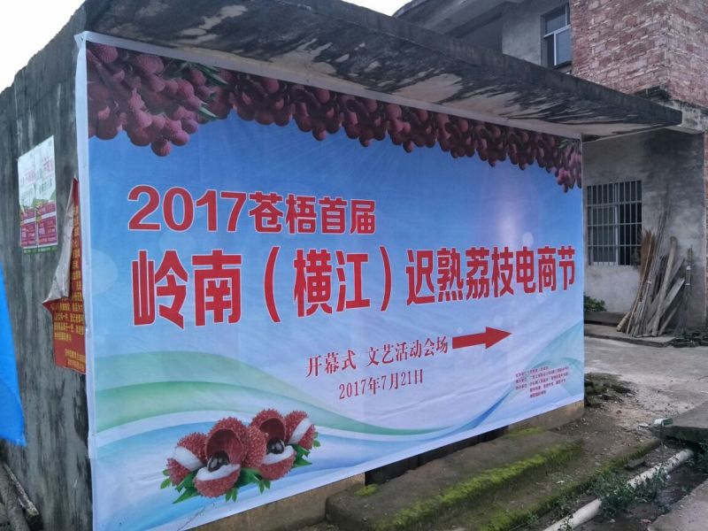 精品迟熟荔枝一件代发全国冰鲜发货当日现摘基地直供