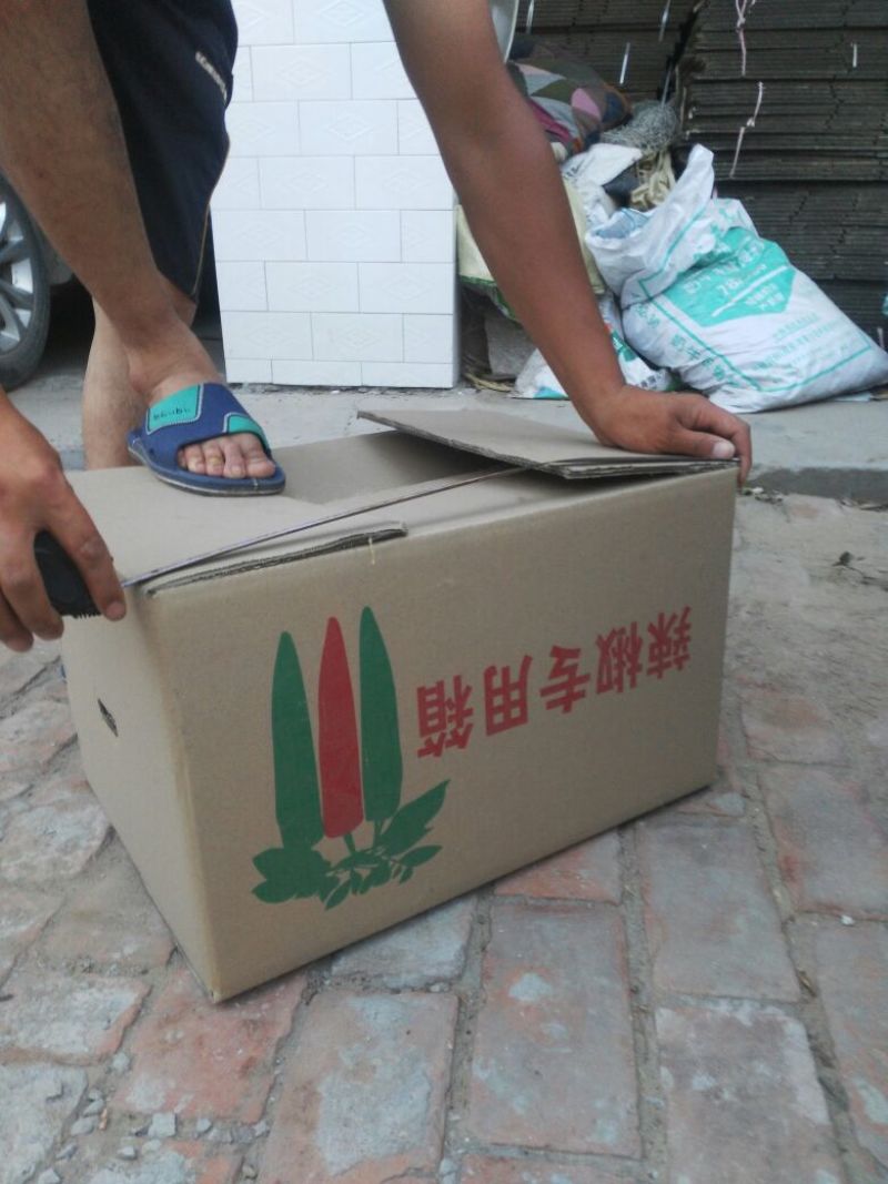 鲜辣椒15~20厘米红中辣