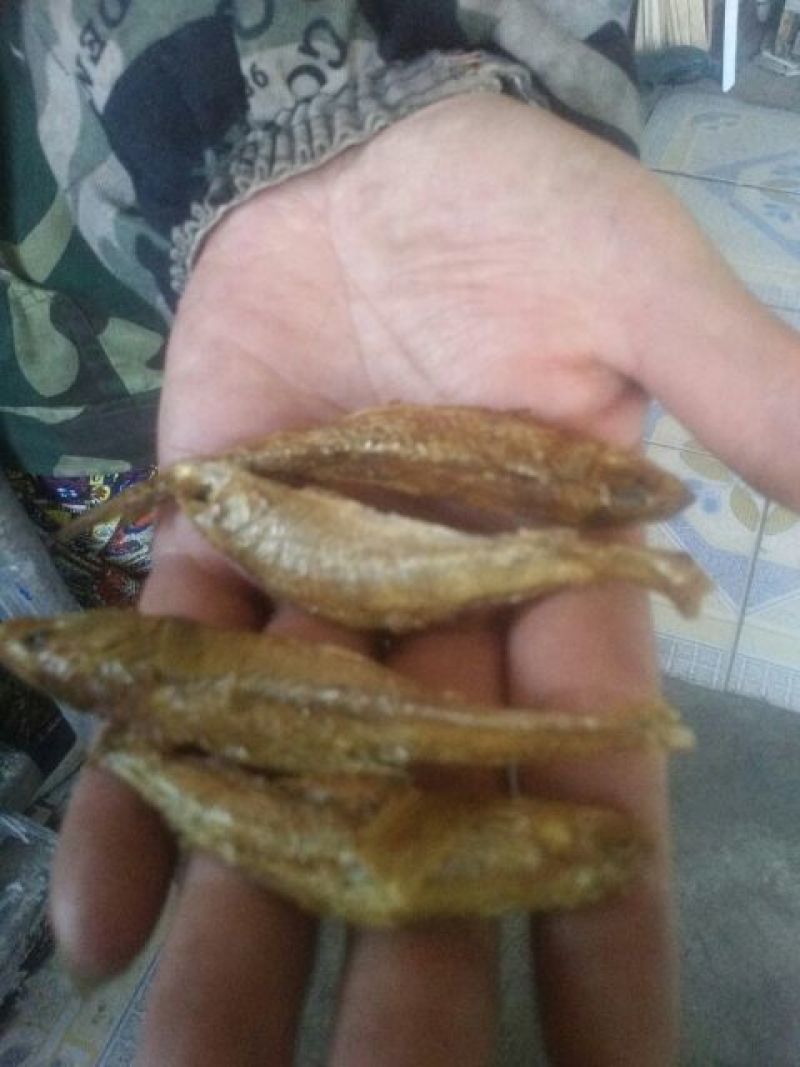 火焙鱼稻谷香味