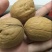 新疆核桃30mm以上去皮皮薄肉厚商超直供质优价