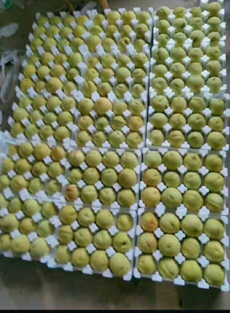 黄桃4两以上