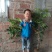 龙眼树苗30~50cm