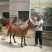 矮马100~200kg