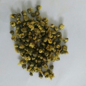 菊花茶特级