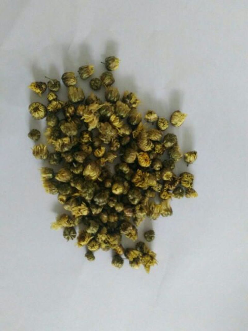 菊花茶特级