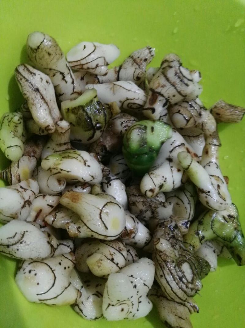 出售紫花三叉白芨，鲜货，选货。