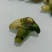 出售紫花三叉白芨，鲜货，选货。