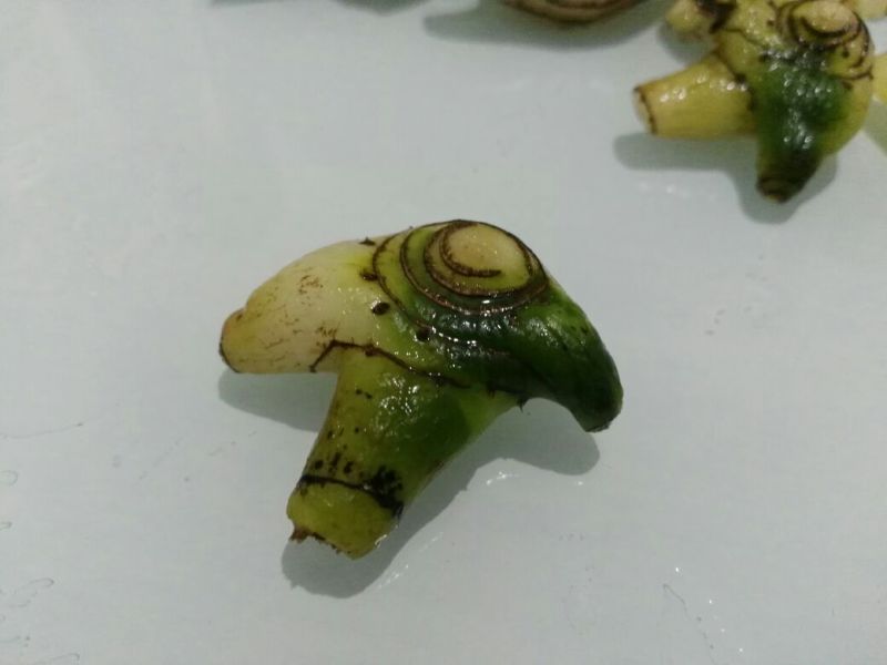 出售紫花三叉白芨，鲜货，选货。
