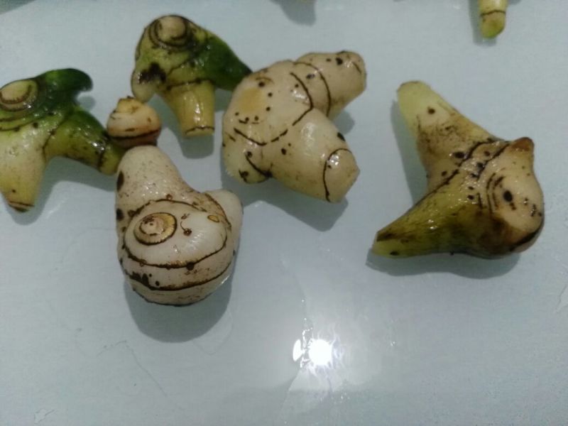 出售紫花三叉白芨，鲜货，选货。