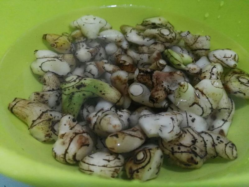 出售紫花三叉白芨，鲜货，选货。
