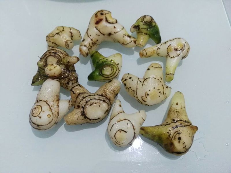出售紫花三叉白芨，鲜货，选货。