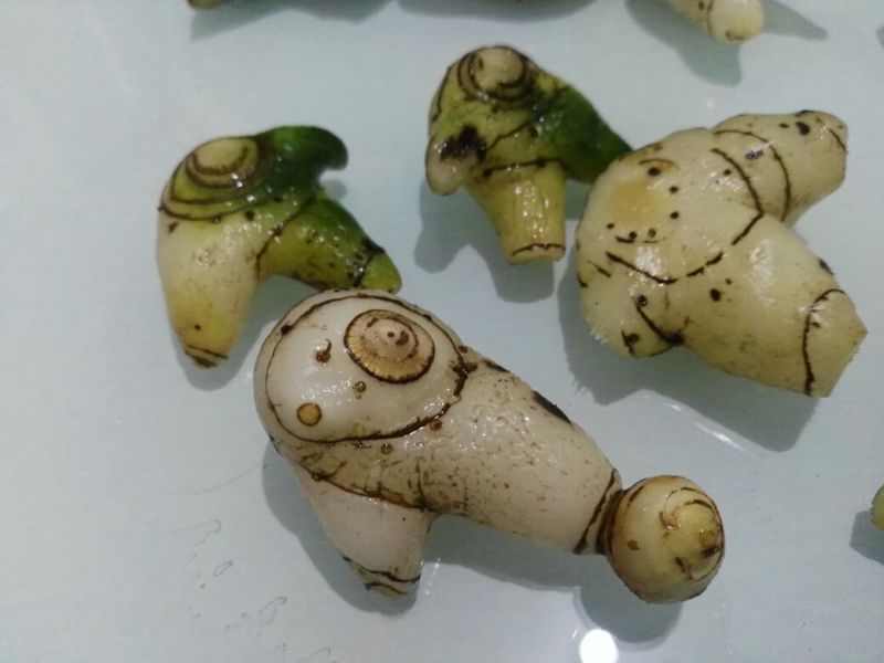 出售紫花三叉白芨，鲜货，选货。
