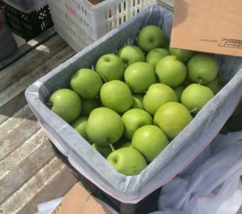 翠冠梨，300~500g，纸袋6两以上大上市货源充足