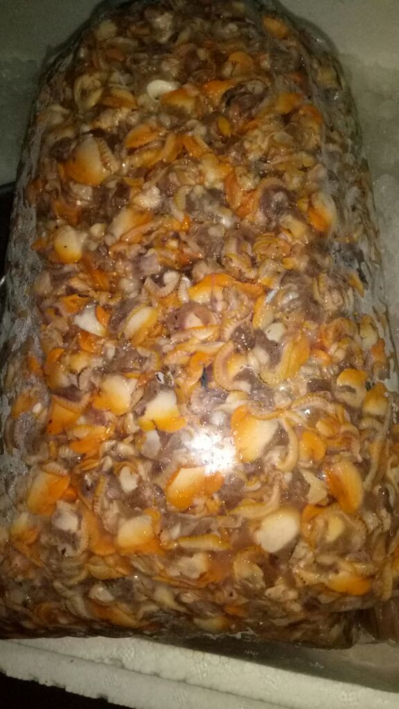 毛蛤肉毛螺肉