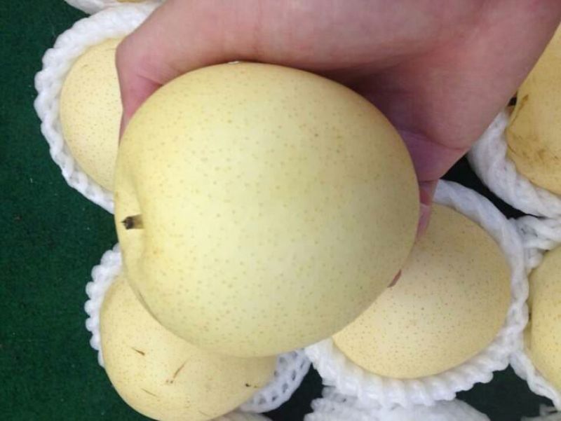 皇冠梨纸箱